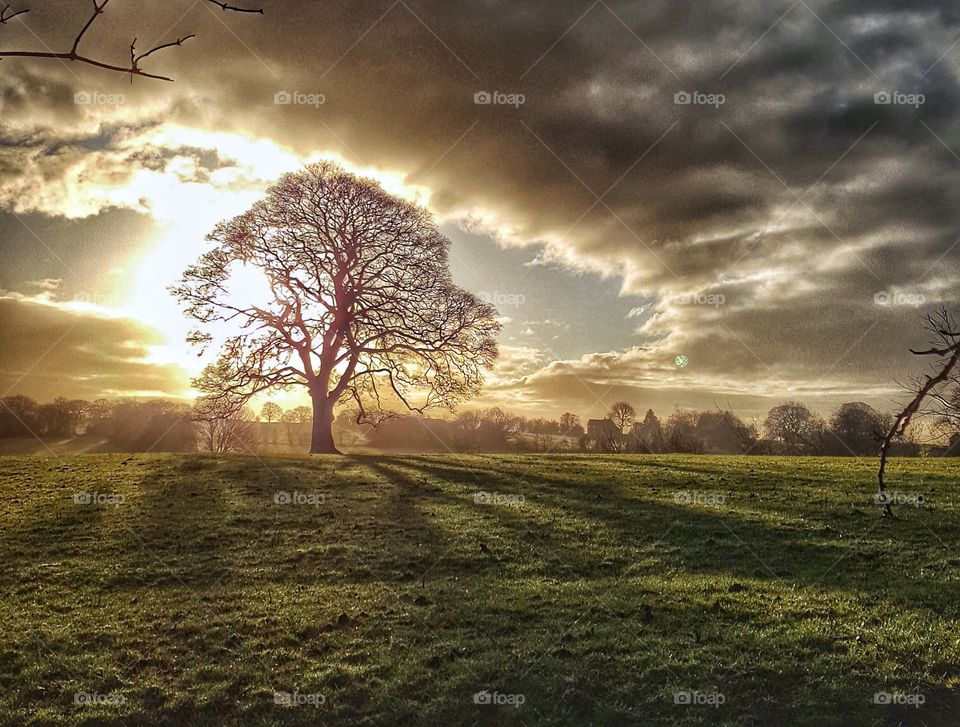 Staffordshire early winter morning 