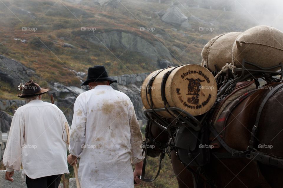 Mountain Men Leading Mules On The Swiss Alps