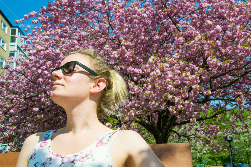 Woman relaxing in the sun infront of cherrry blossom in Malmö Sweden.