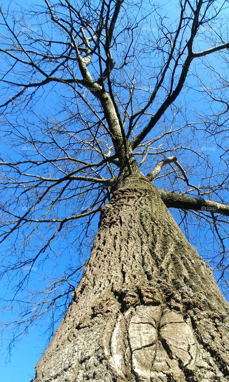 baum winter Herbst oben