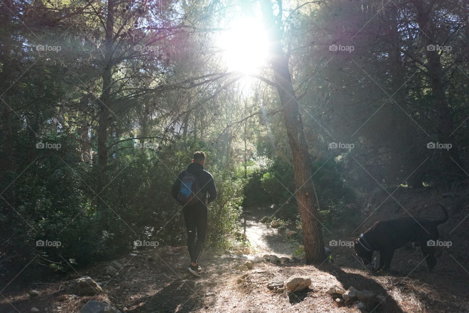 Forest#trees#nature#sunny#day#human#dog#run