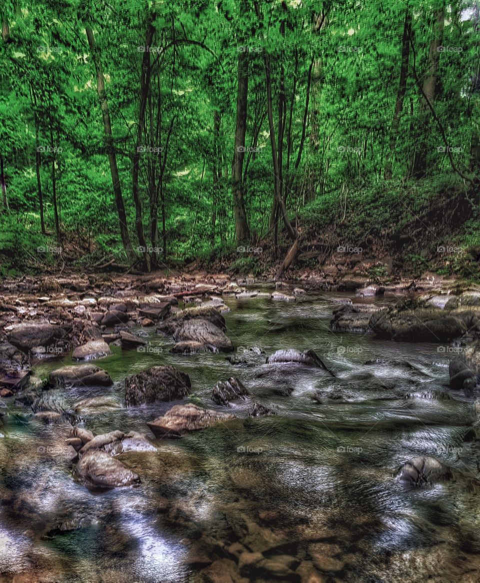 Low stream over rocks. The stream was running low because of the drought, but looked amazing 