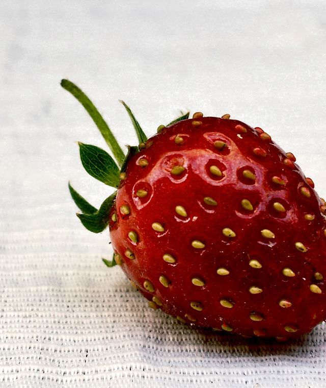 Morango