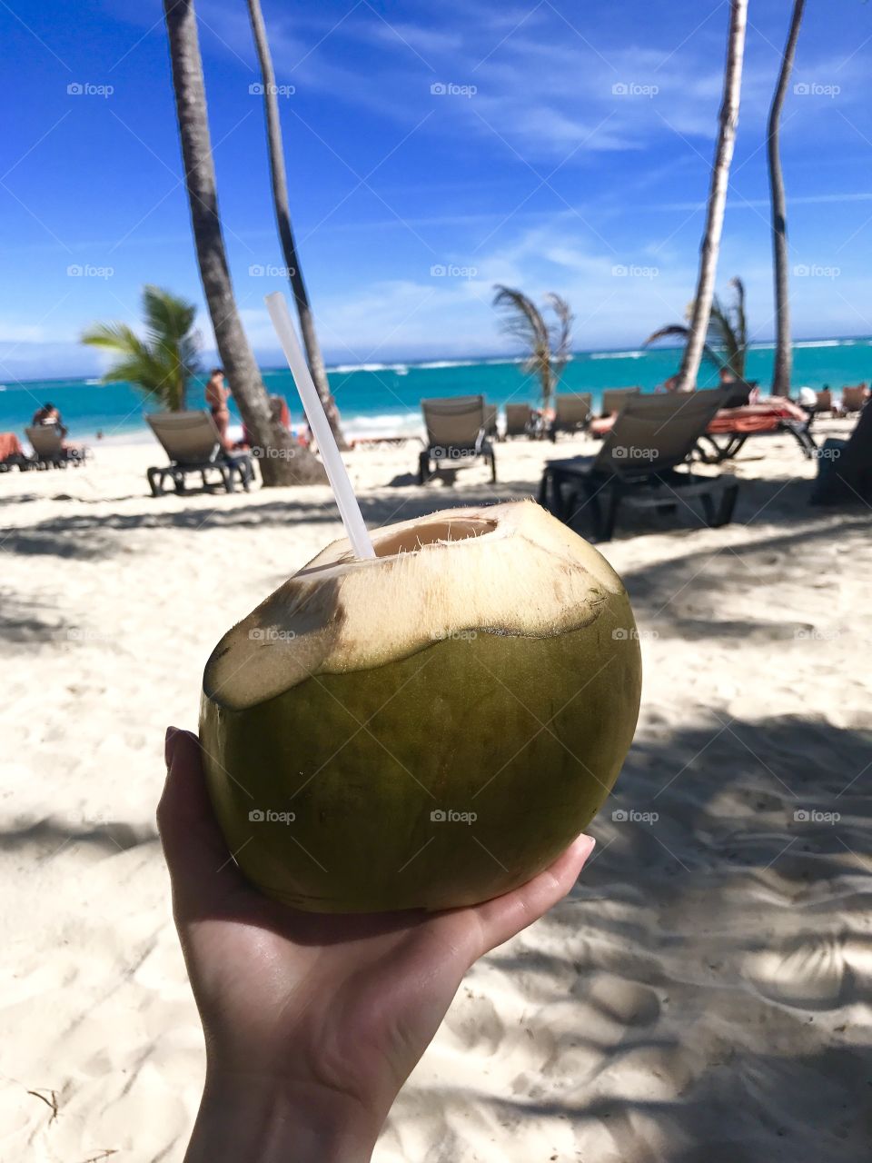 Tasty fresh coconut