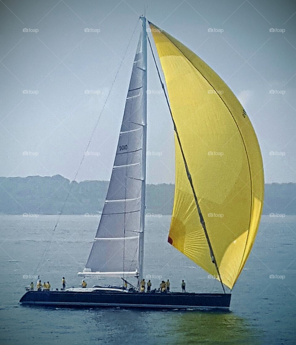 Yellow and White Sail