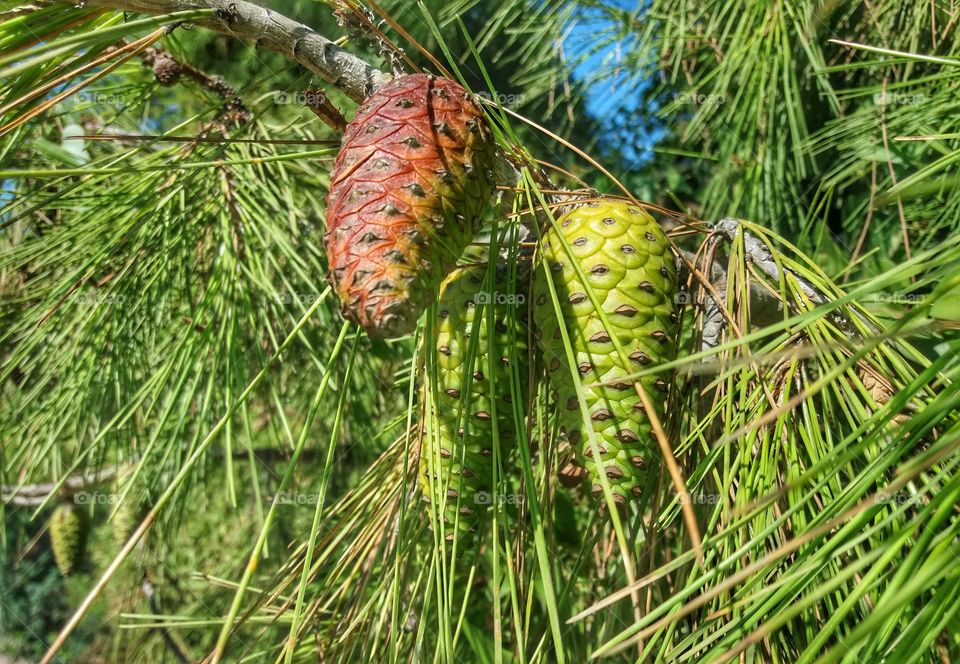 Autumn changes colors!