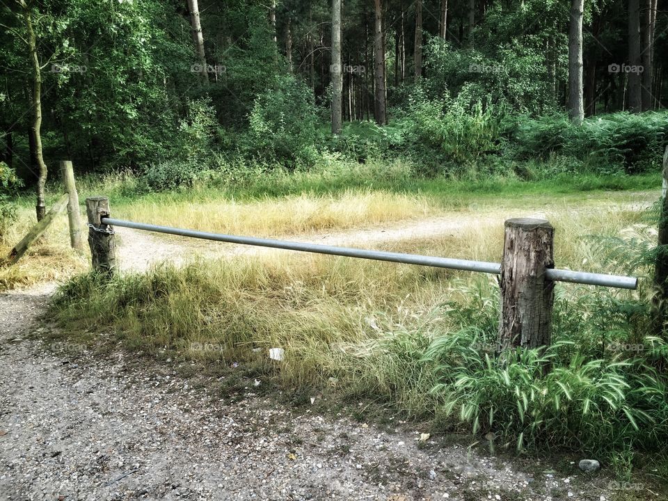 Vehicle barrier in woodland