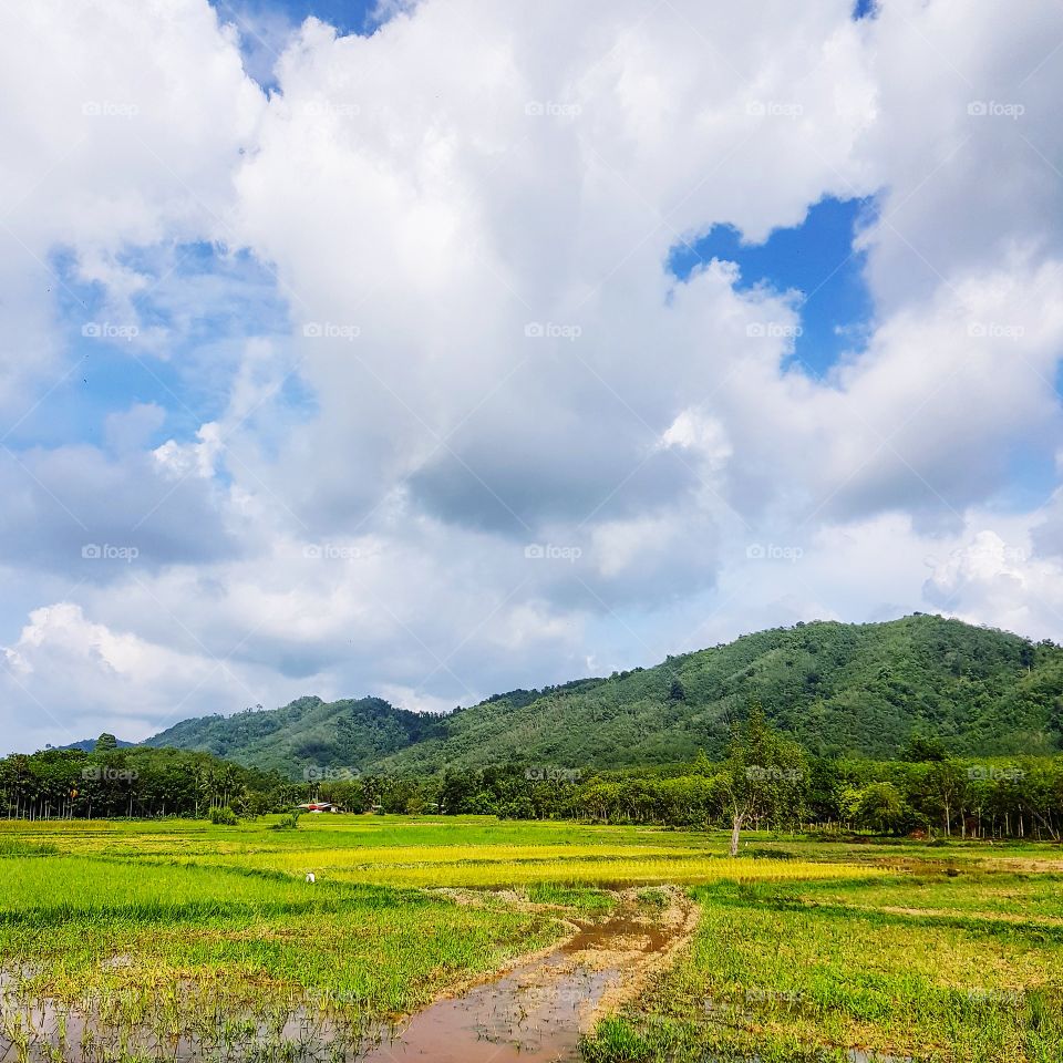 Scenic view of countryside against cloudy sky