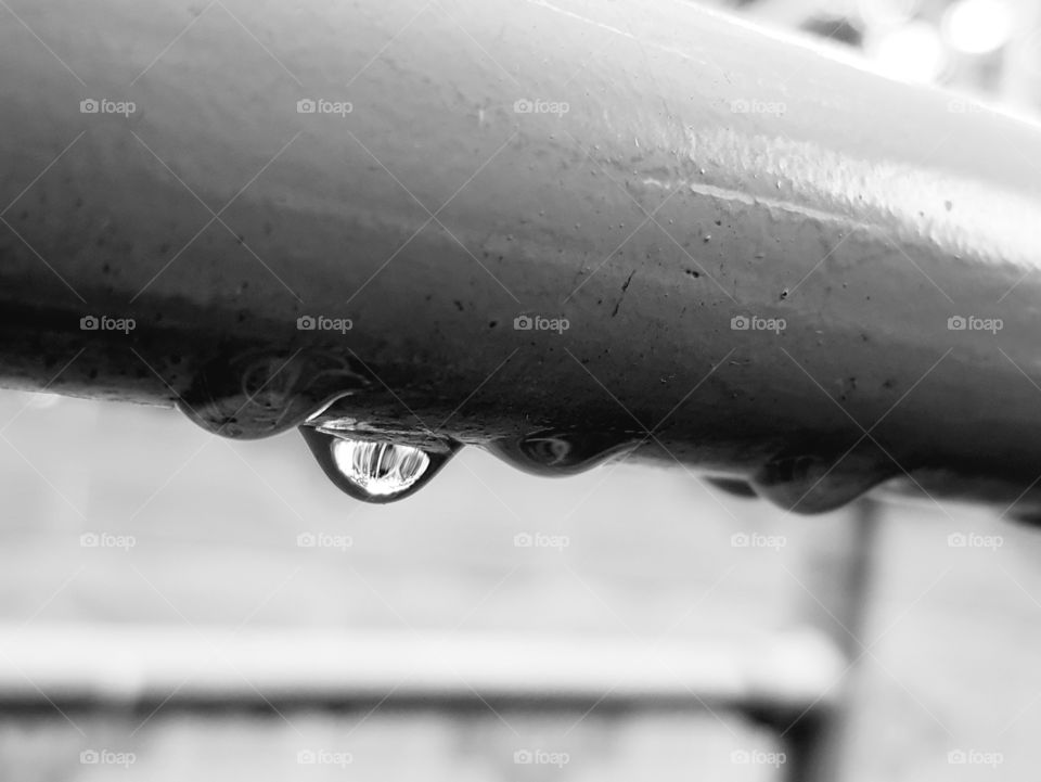 Water droplets picture black and white 