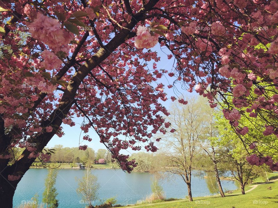 Beautiful Ausee lake near Linz, Austria - It‘s spring 