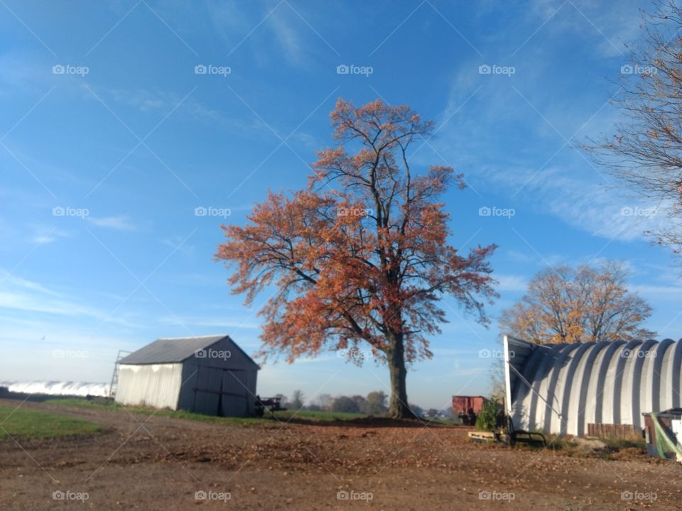 No Person, Outdoors, Sky, Landscape, Tree