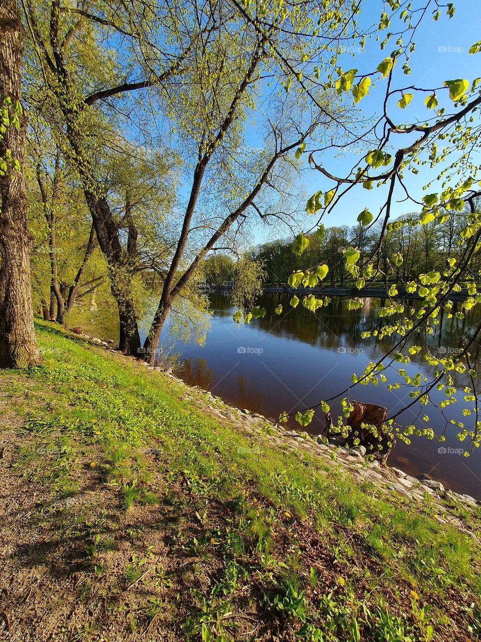 Nice river view in the middle of the city. It is a wonderful addition to a city landscape.