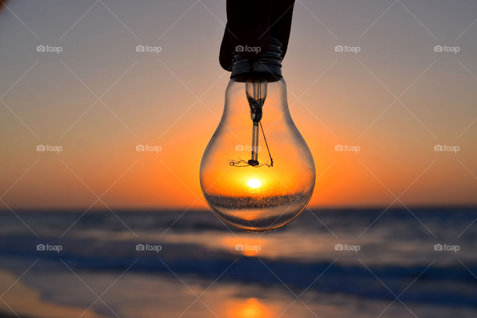 Close-up of bulb during sunset