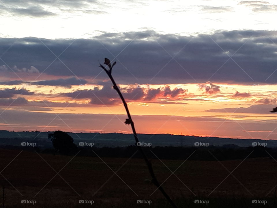 Sunset, Landscape, Dawn, No Person, Sky