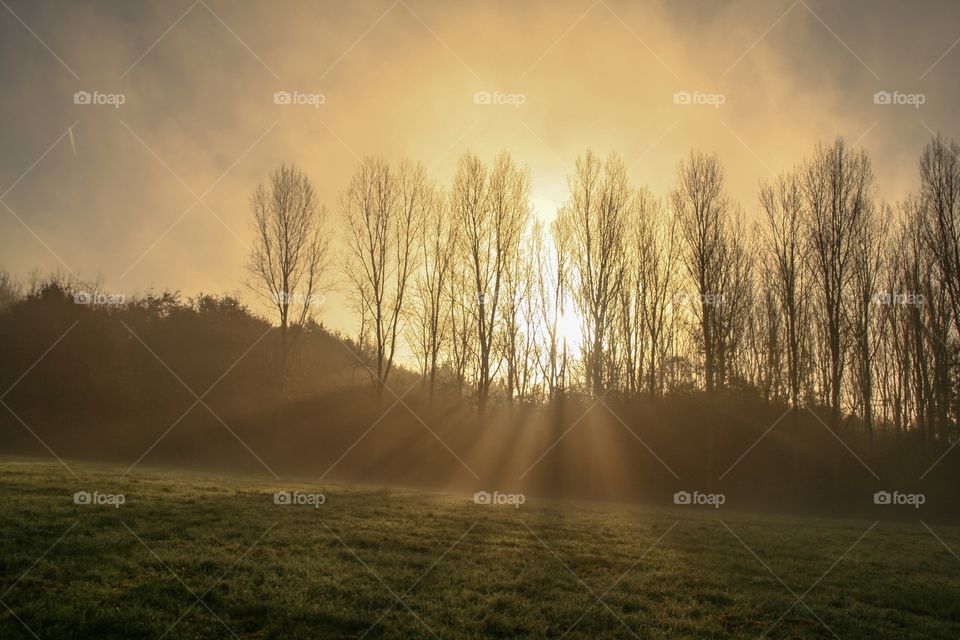 A scenic sight in the park with sun rays coming trough the trees in the park