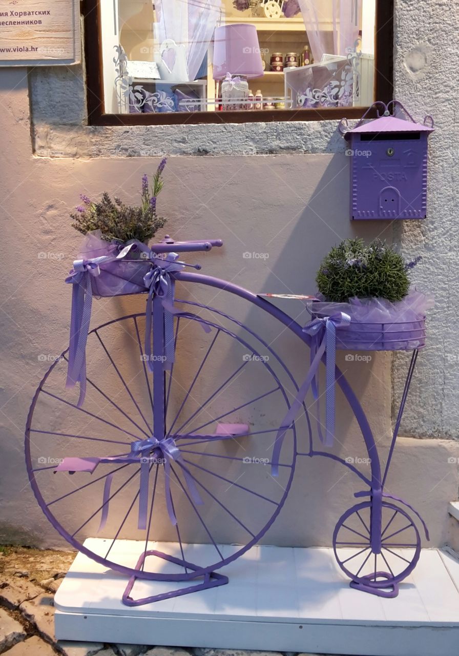 Violet bike Rovinj Croatia