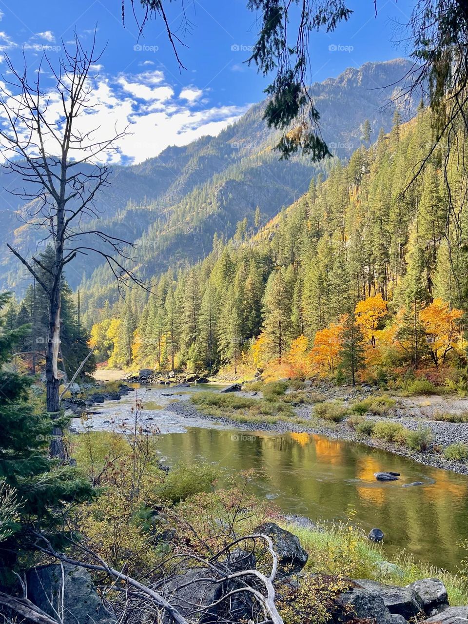 Beautiful autumn in the mountains 