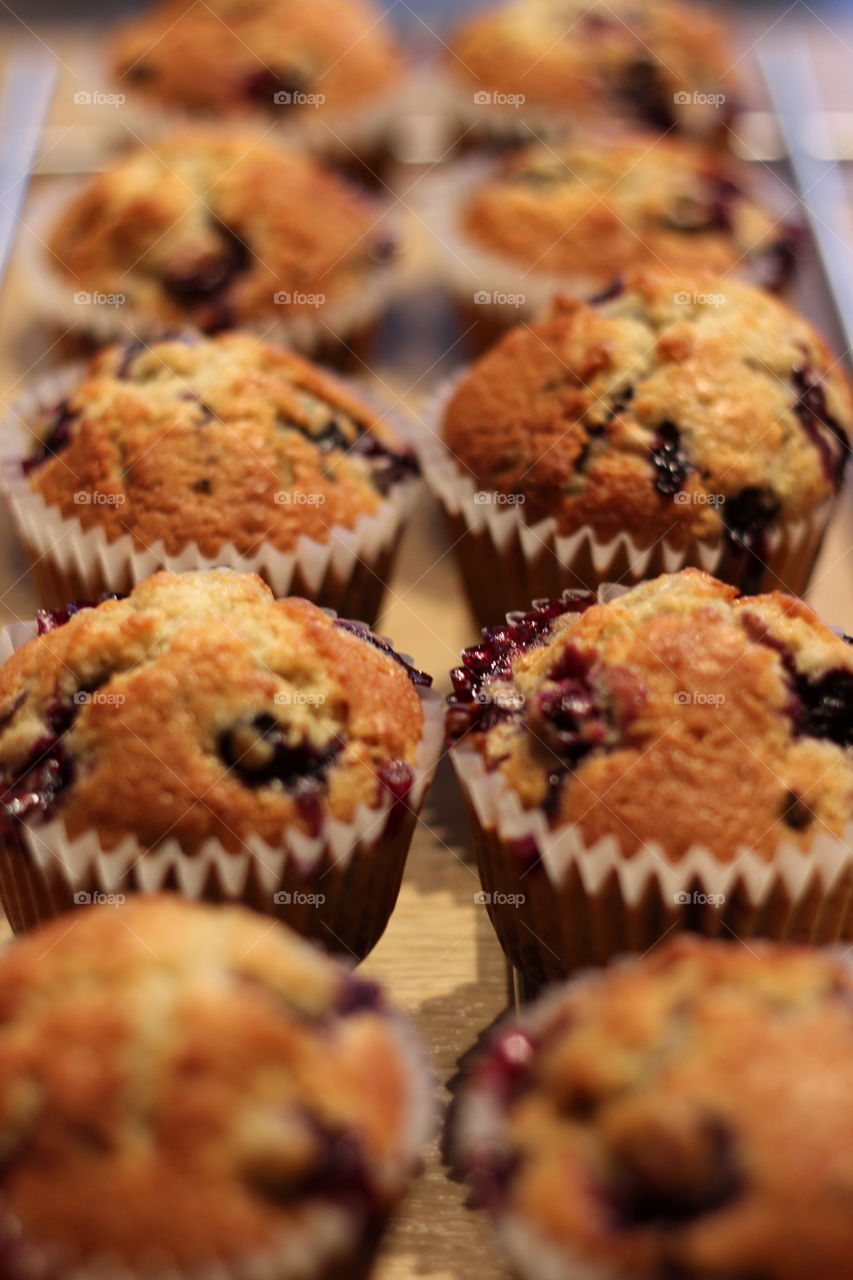 Double blueberry muffins