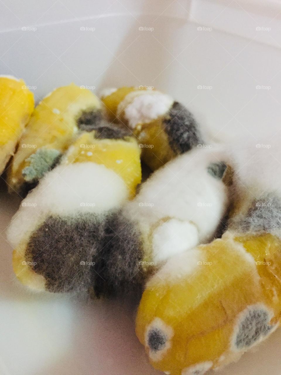 I was shocked after opening the Tupperware and this is the results after how many days, I just remembered when we were in High School our professor in Science subject let us find any food that can be transformed into this “mold”..