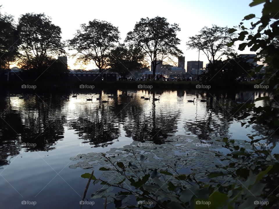 Sunset at the Esplanada Charles River Boston MA