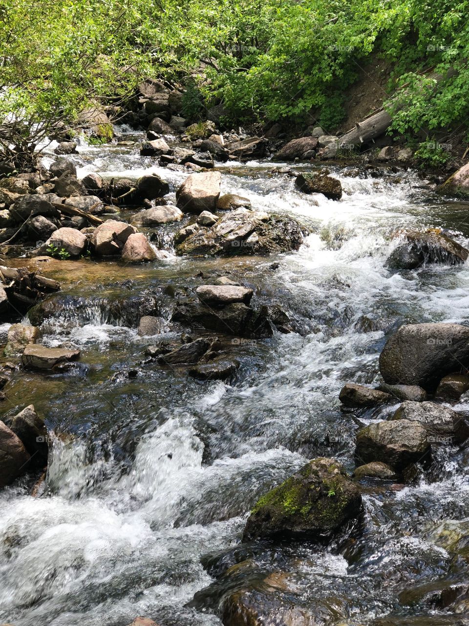 Rushing mountain stream