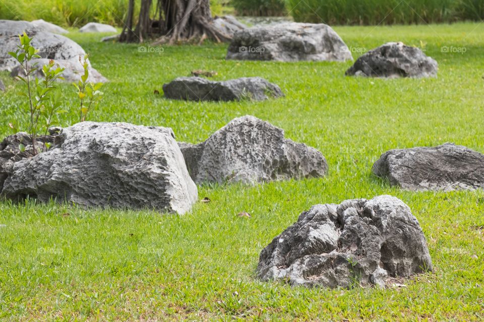 Many stone on the grass