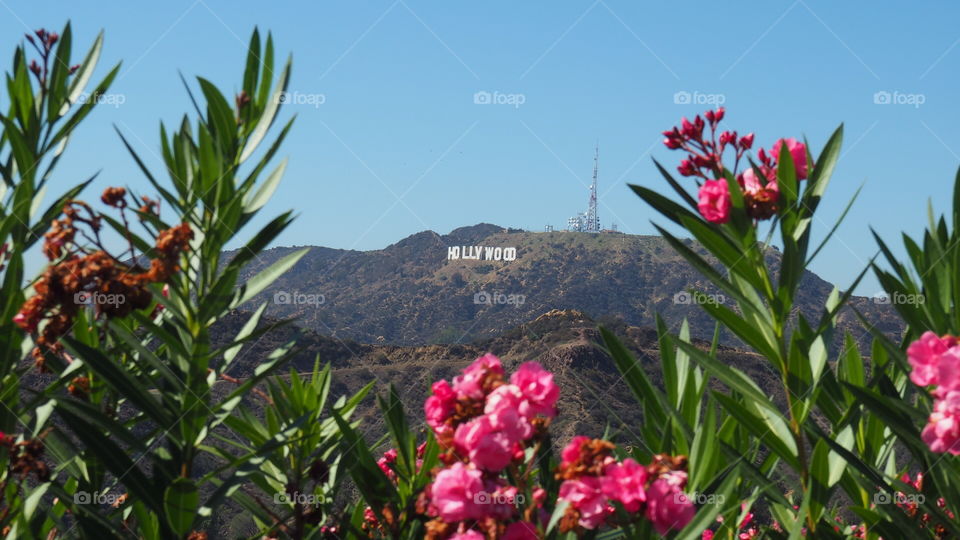 Iconic Hollywood sign. Iconic Hollywood sign on Los Angwles, California landmark