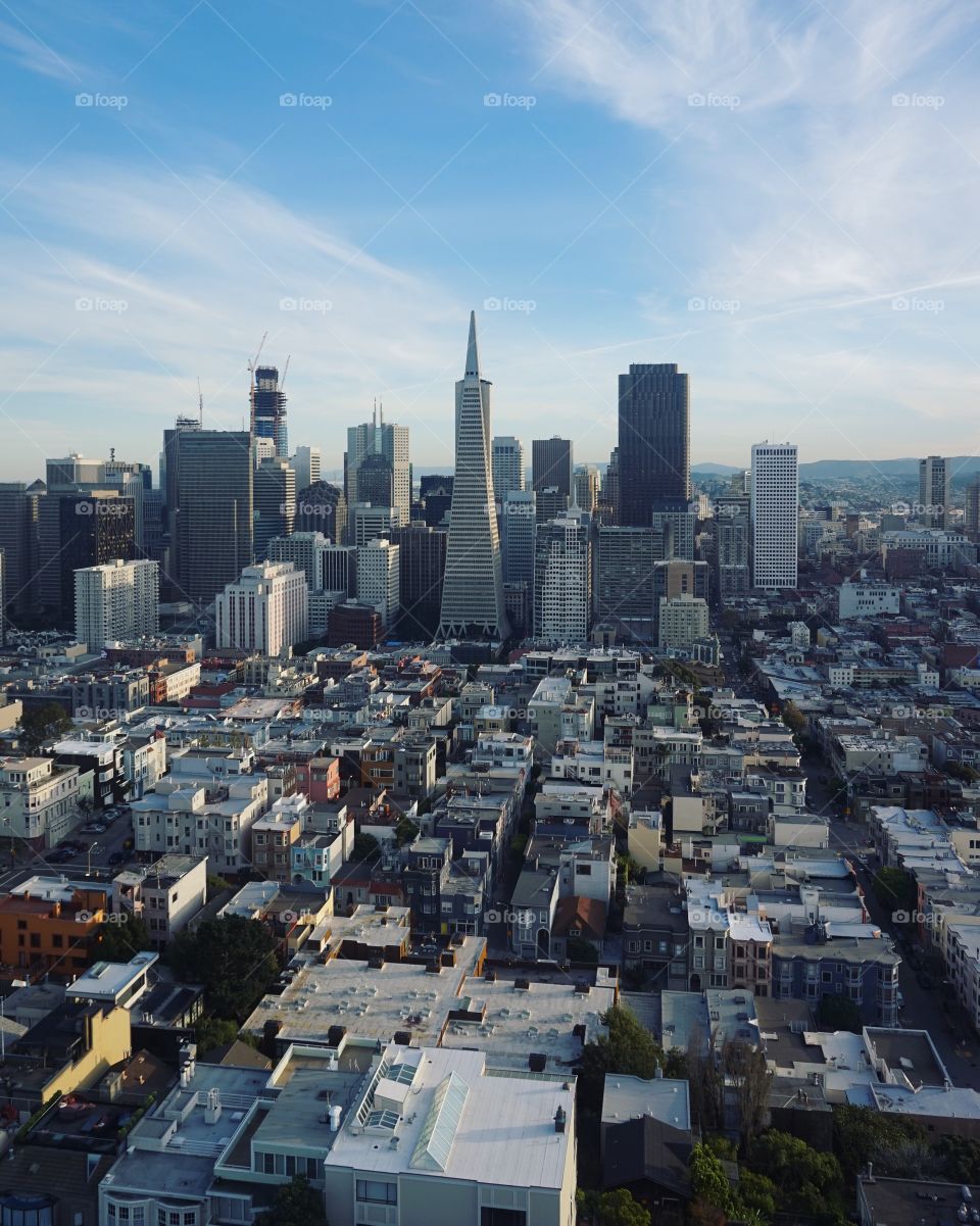 San Francisco from Coit tower