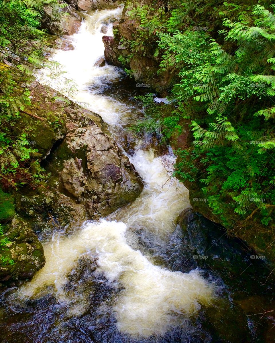 Small stream with bubbling falls