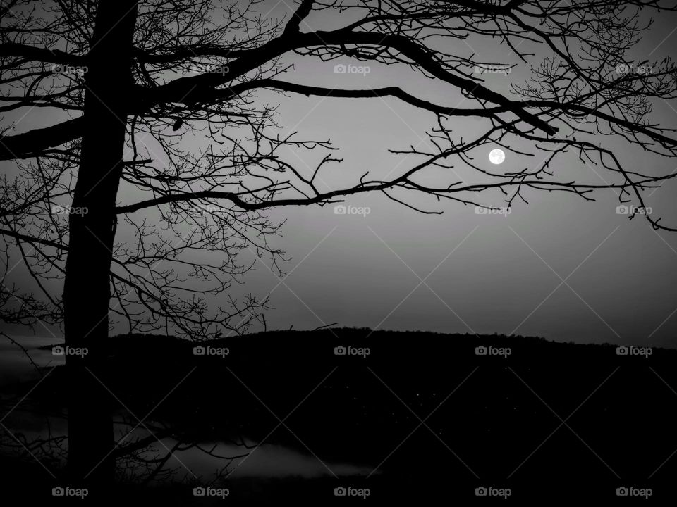 A bit of tree, a touch of fog, and a tad of moon. Sewanee, Tennessee. 