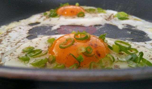 eggs