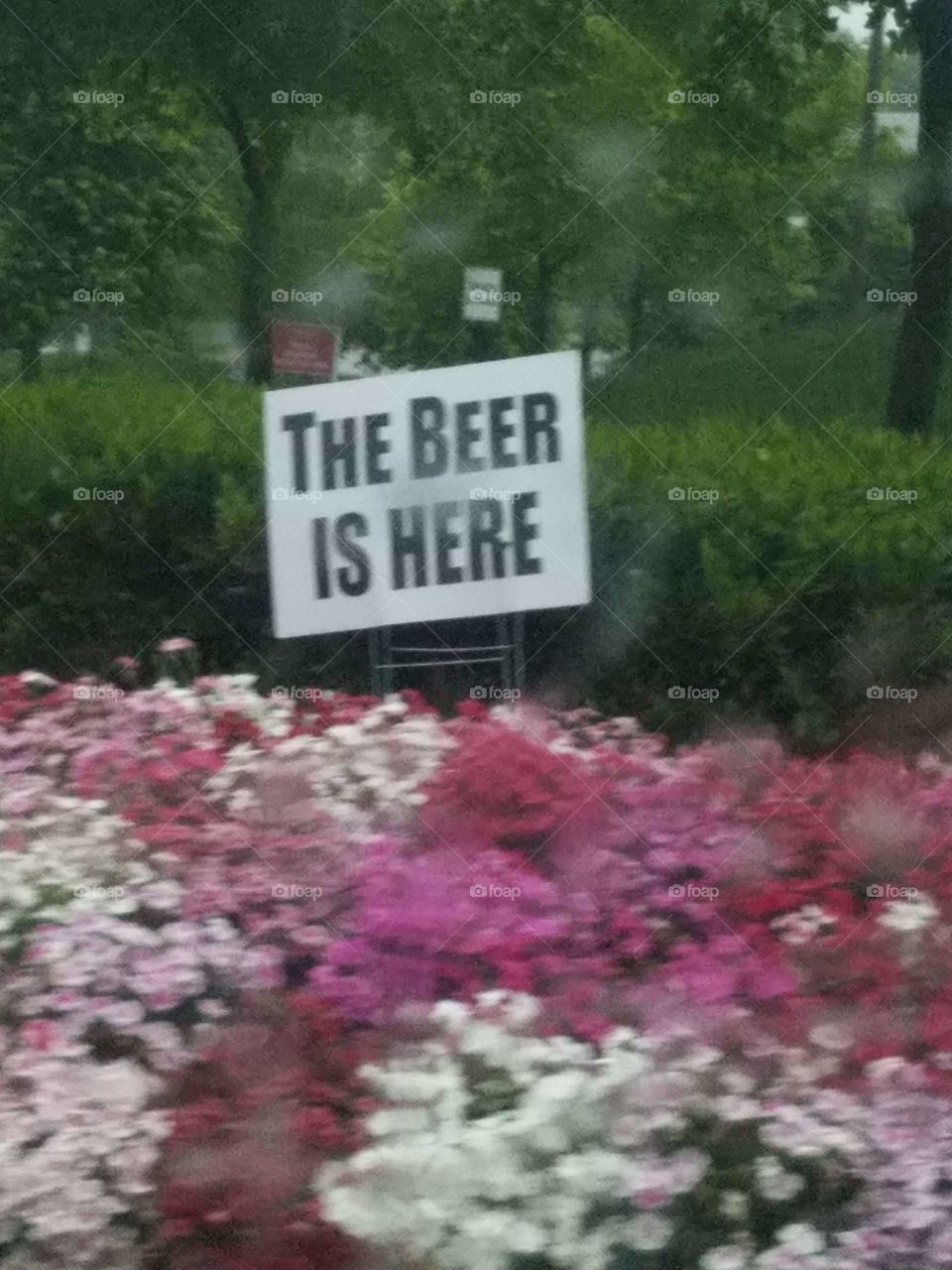 flowers and signage to a brewery