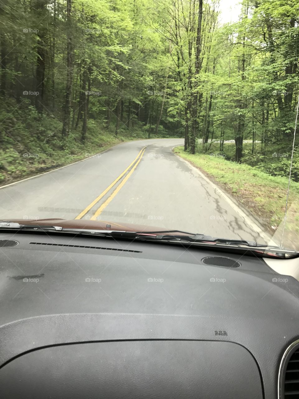 Tennessee back roads.