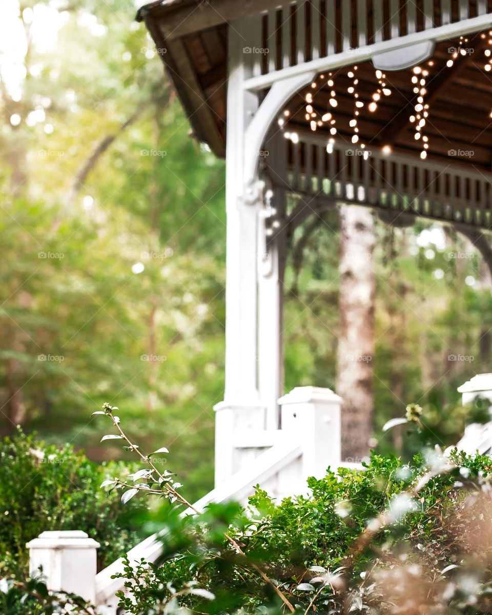 Dream wedding locations at Botanical Garden 