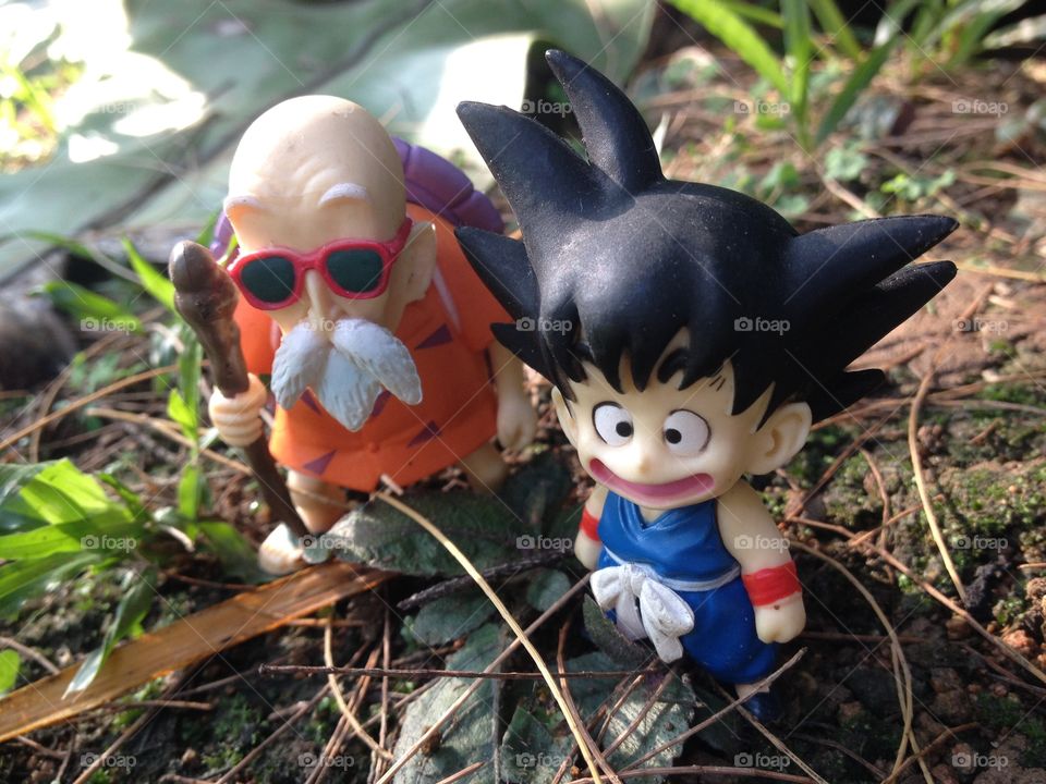 Kamesenin and Goku. Goku and Kamesenin