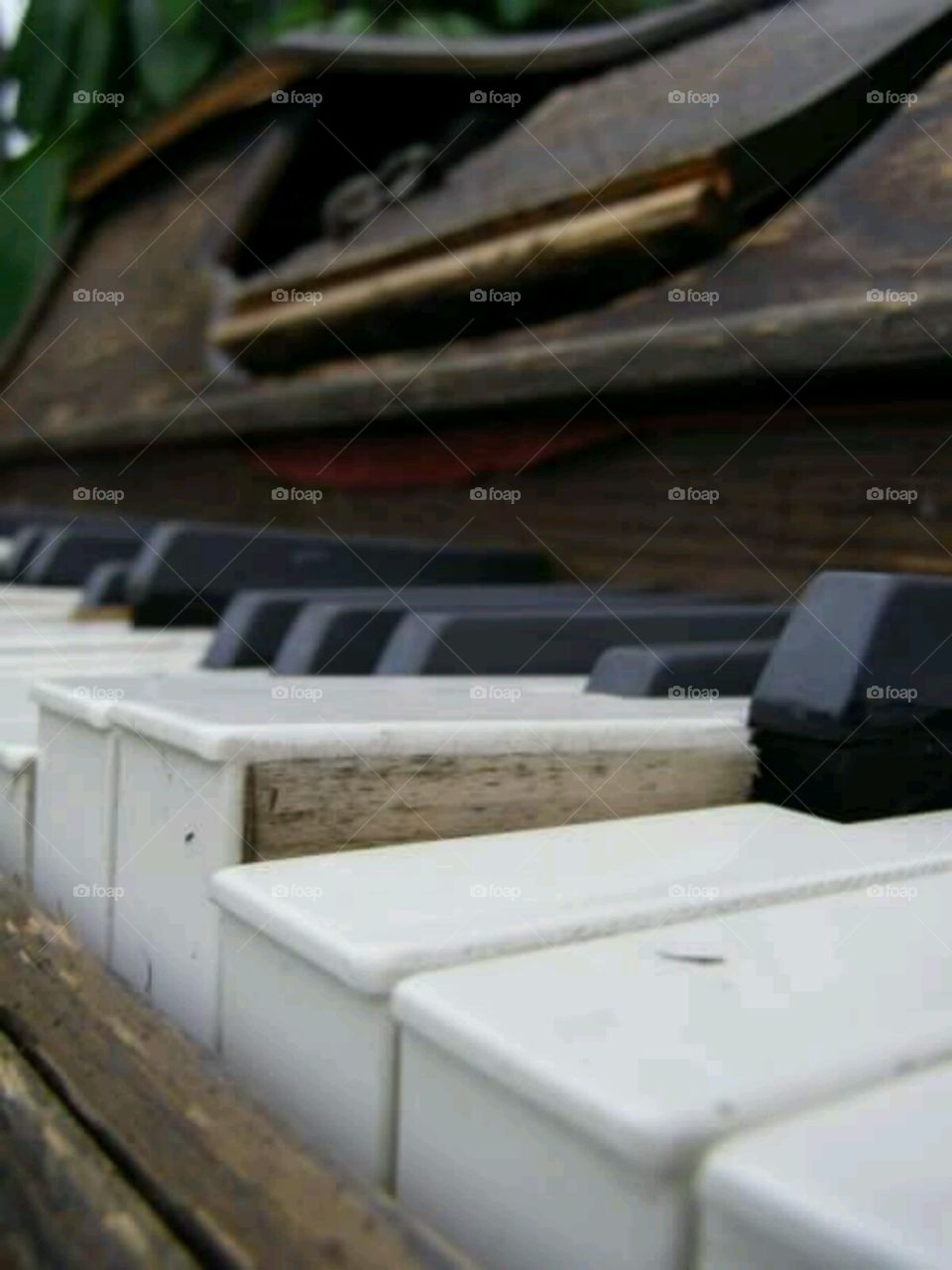 piano man . abandoned piano left outdoors