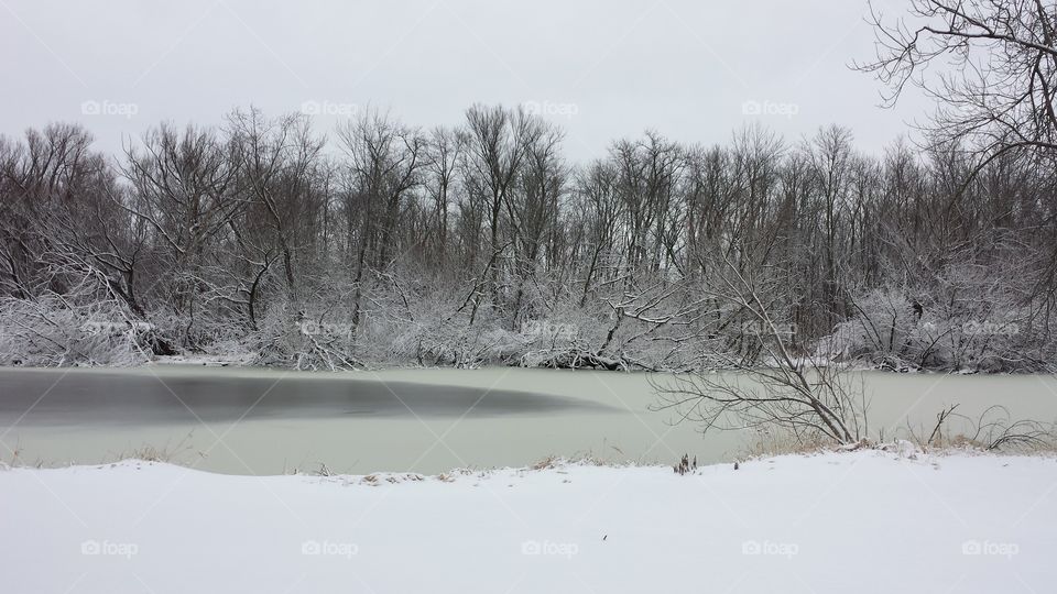 Serene Snow. Taken after a fresh snowfall