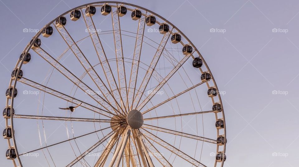 Seattle wheel