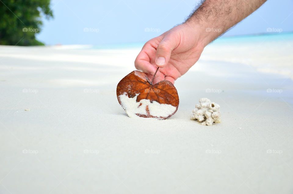 brown heart leaf collection on white beach