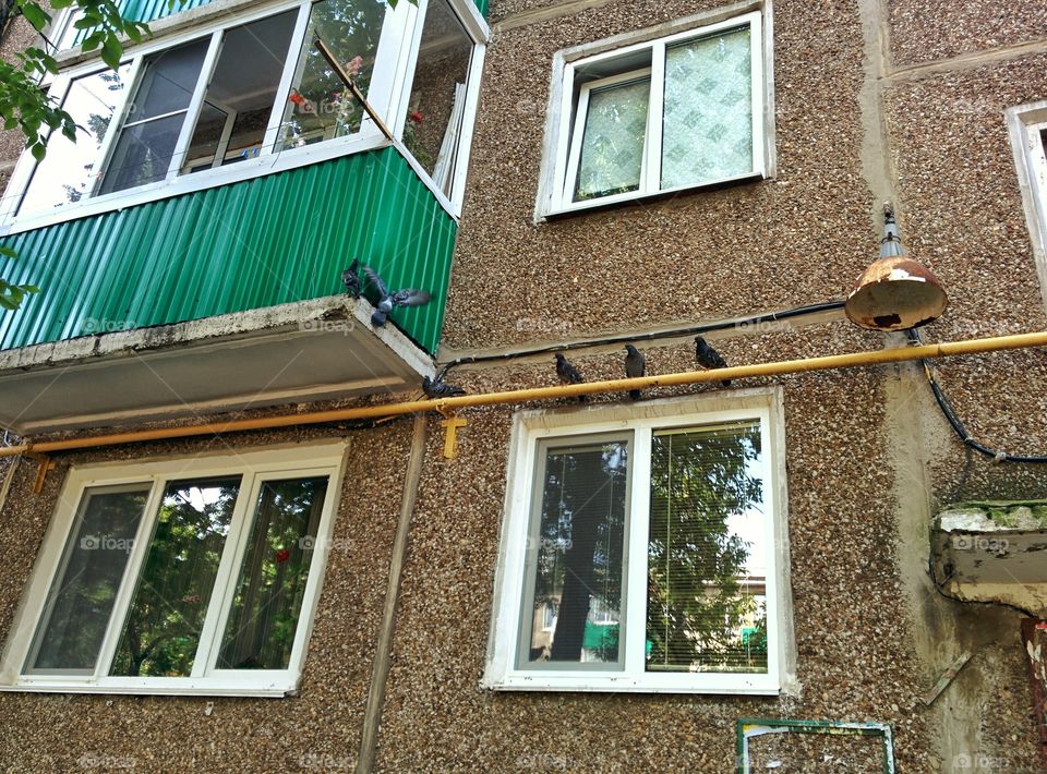 Window, House, Architecture, Building, Family