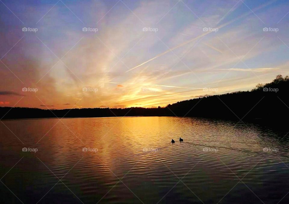 Sunset by the lake, birds swimming