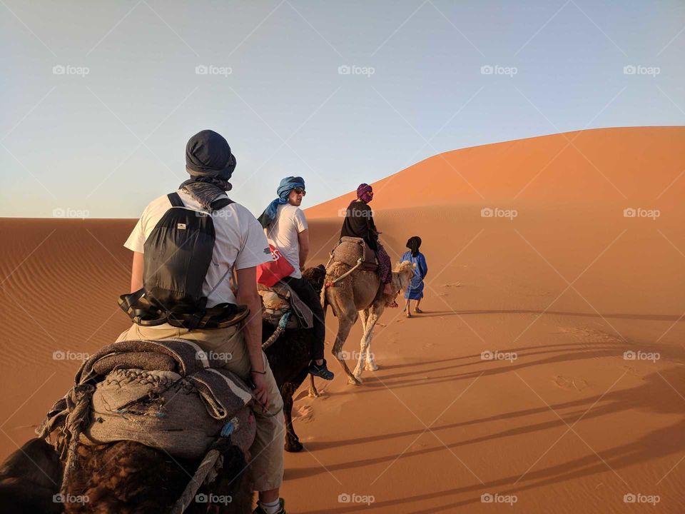 Three People Riding Camels through the Sand Dunes of the Sahara Desert in Morocco