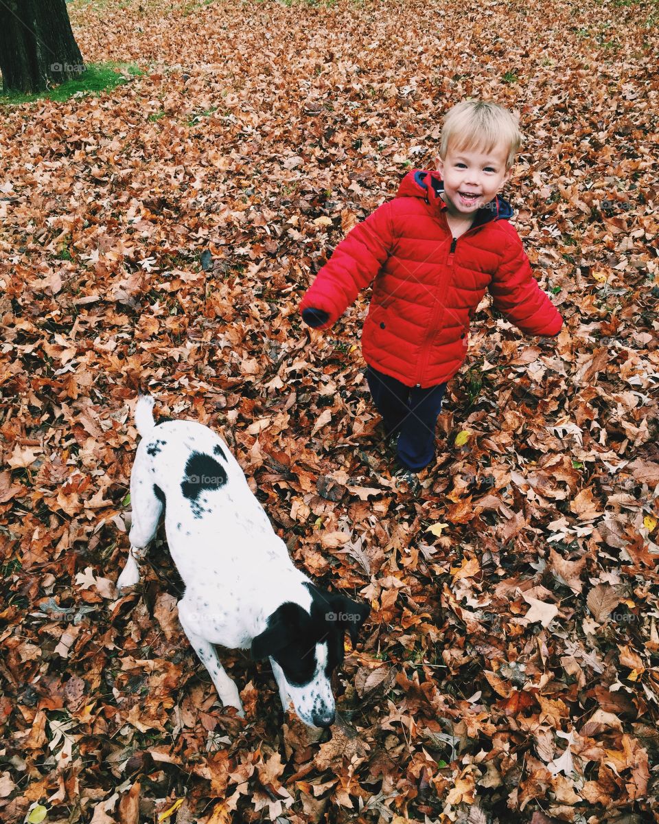 Child with dog playing in leaves