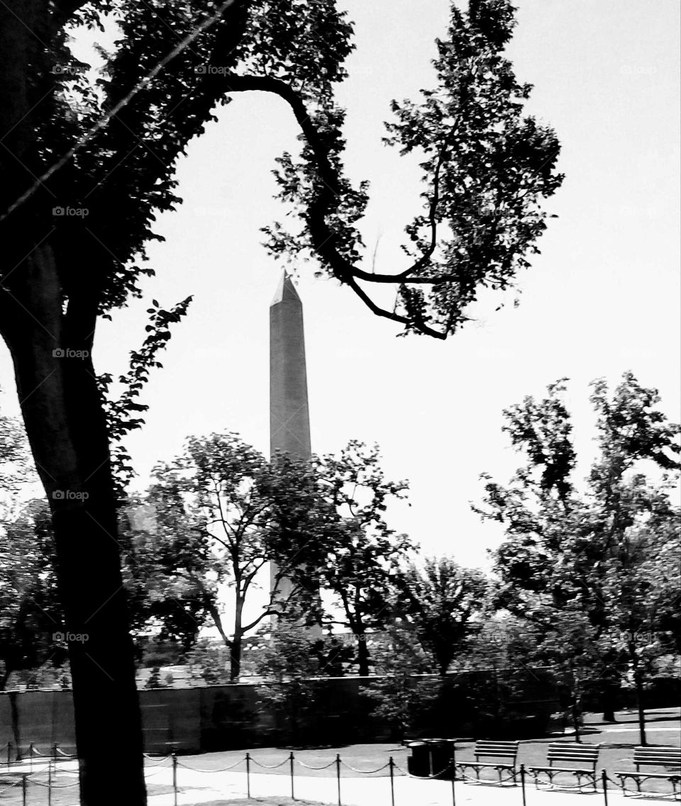 Washington Monument in black and white.