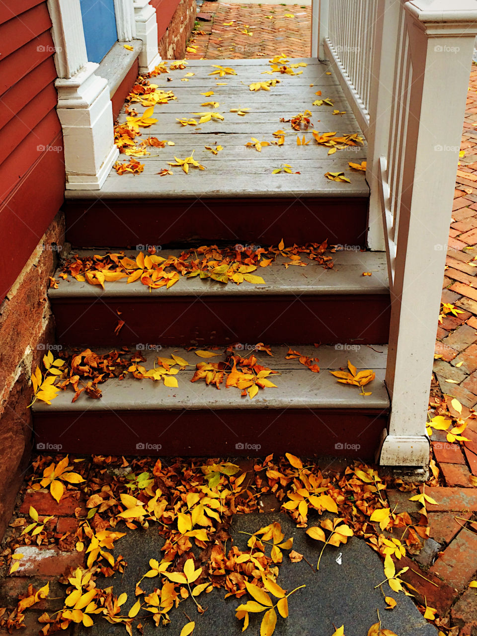 Autumn leaves on the steps