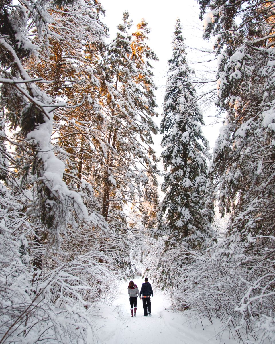 A young couple walking through a massive snowy forest on a beautiful hiking trail