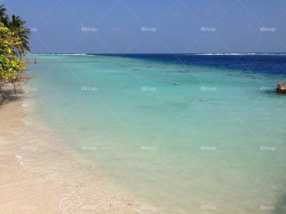 Maldives 