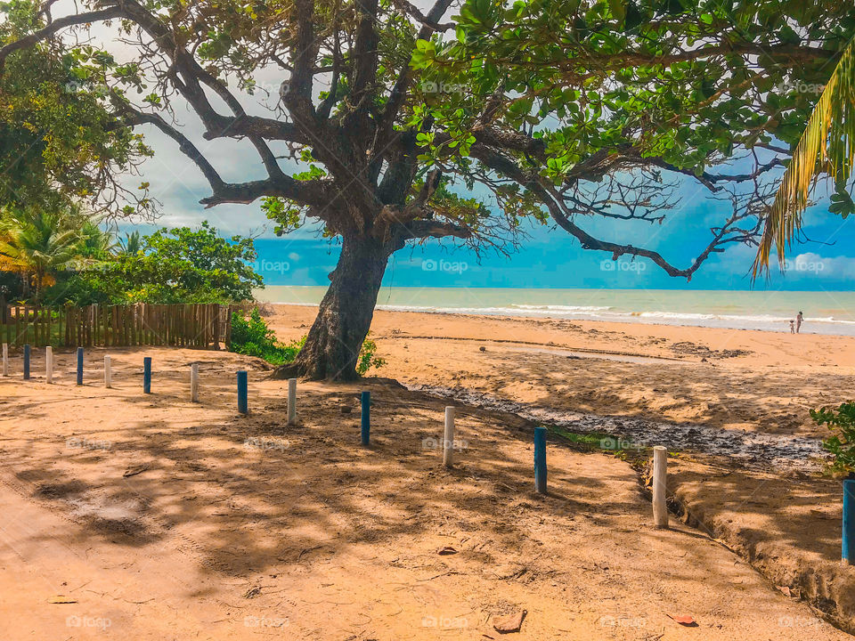 Cumuruxatiba Bahia Brasil 🇧🇷