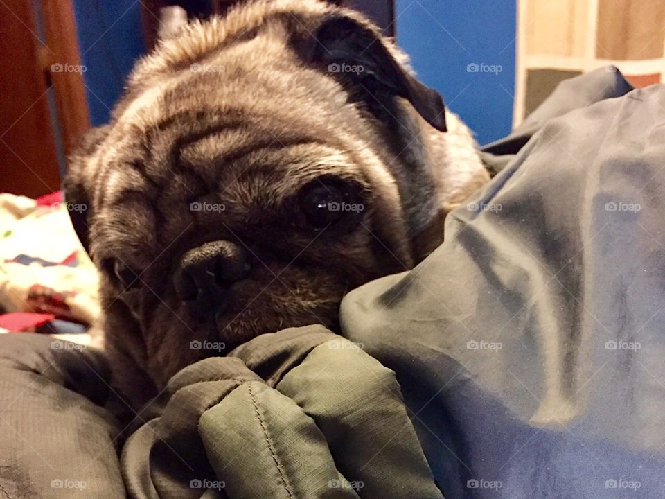 Baby It’s Cold Outside