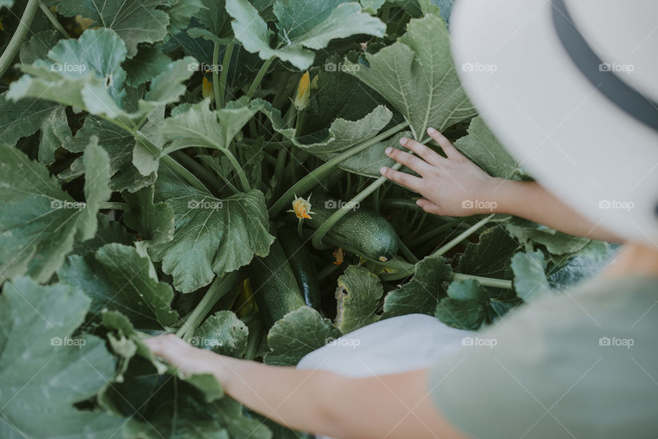 Gardening and planting food 